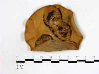 登錄號:F0002217藏品圖，第1張