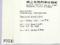 登錄號:F0002218藏品圖，第2張