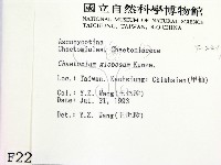 登錄號:F0002219藏品圖，第2張