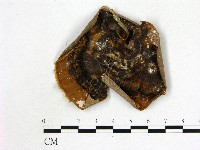 登錄號:F0002221藏品圖，第1張