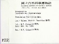 登錄號:F0002222藏品圖，第2張