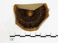 登錄號:F0002222藏品圖，第1張