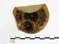 登錄號:F0002223藏品圖，第1張