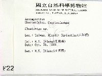 登錄號:F0002224藏品圖，第2張