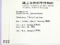 登錄號:F0002226藏品圖，第2張