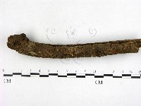 登錄號:F0002227藏品圖，第4張