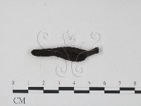 登錄號:F0002228藏品圖，第1張