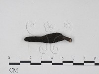 登錄號:F0002228藏品圖，第3張