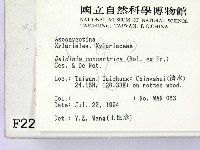 登錄號:F0002229藏品圖，第2張