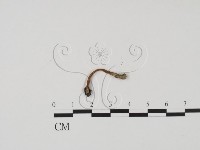 登錄號:F0002231藏品圖，第3張