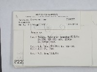 登錄號:F0002232藏品圖，第2張