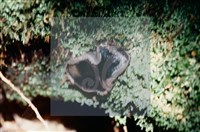 登錄號:F0002234藏品圖，第5張