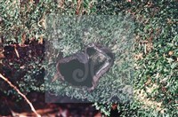 登錄號:F0002234藏品圖，第6張