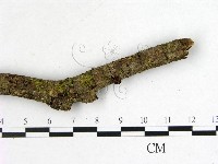 登錄號:F0002235藏品圖，第3張