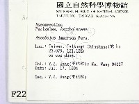 登錄號:F0002238藏品圖，第2張