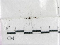 登錄號:F0002241藏品圖，第1張