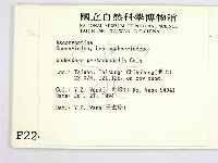 登錄號:F0002242藏品圖，第2張