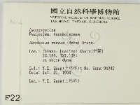 登錄號:F0002243藏品圖，第2張