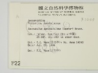 登錄號:F0002244藏品圖，第2張