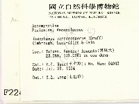 登錄號:F0002245藏品圖，第2張