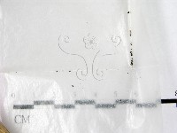 登錄號:F0002245藏品圖，第1張