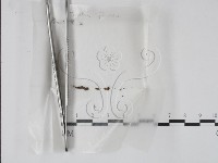 登錄號:F0002246藏品圖，第1張