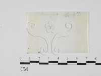 登錄號:F0002249藏品圖，第1張