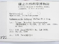 登錄號:F0002252藏品圖，第2張