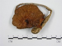 登錄號:F0002252藏品圖，第4張