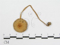 登錄號:F0002253藏品圖，第4張