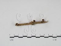 登錄號:F0002254藏品圖，第1張