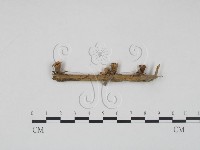 登錄號:F0002254藏品圖，第3張