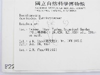 粉褶菌屬藏品圖，第2張