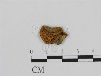 登錄號:F0002258藏品圖，第1張