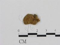 登錄號:F0002258藏品圖，第3張