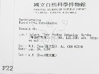 紅菇屬藏品圖，第2張