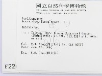 紅菇屬藏品圖，第2張