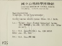 登錄號:F0002263藏品圖，第2張