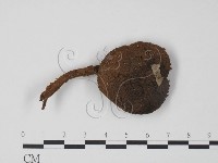 登錄號:F0002263藏品圖，第1張