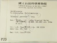 登錄號:F0002264藏品圖，第2張