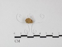 登錄號:F0002264藏品圖，第3張