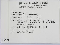 小菇屬藏品圖，第2張