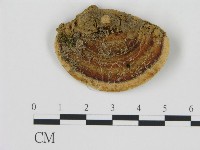 登錄號:F0002266藏品圖，第3張