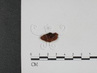 登錄號:F0002268藏品圖，第3張