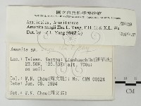 登錄號:F0002269藏品圖，第2張