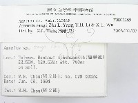 登錄號:F0002269藏品圖，第3張