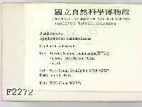 登錄號:F0002272藏品圖，第2張