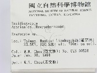 濕傘屬藏品圖，第2張