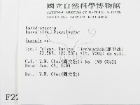 紅菇屬藏品圖，第2張