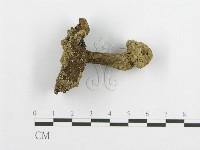 登錄號:F0002278藏品圖，第3張